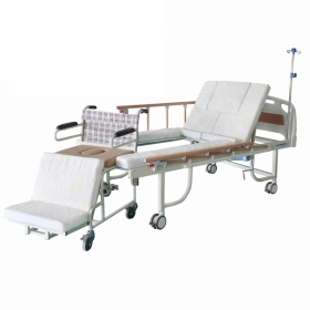 Giường đa năng điện kết hợp xe lăn
